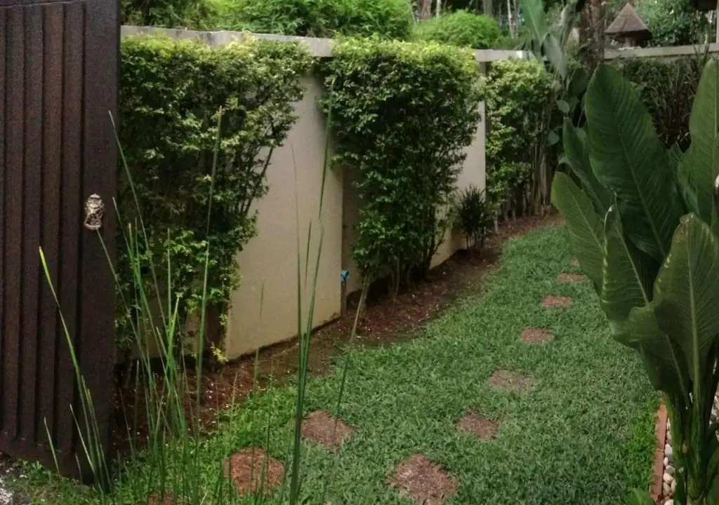 Тхаланг: Bunga Monta Villa