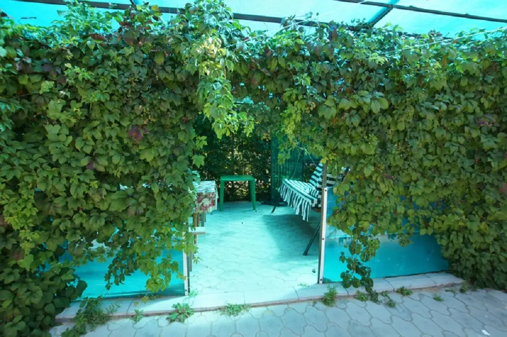 Голубицкая: Azoff Guest House