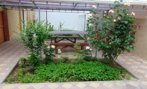 Витязево: Belaya Dacha Guest House