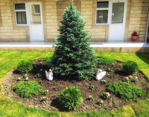 Геленджик: Guest House Belaya Lebed`