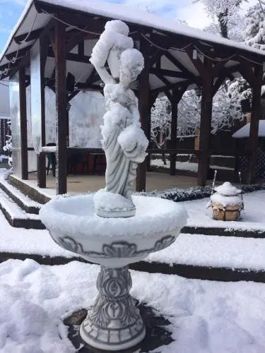Бетта: Chernomorskaya Zhemchuzhina
