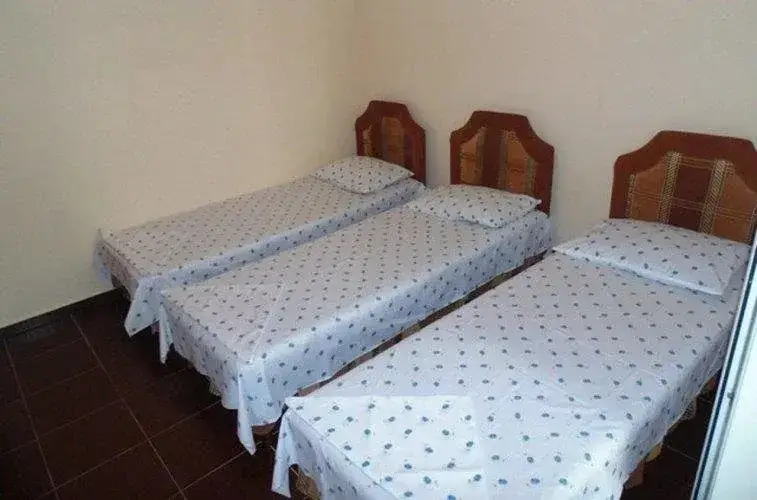 Витязево: Guest House Citrus