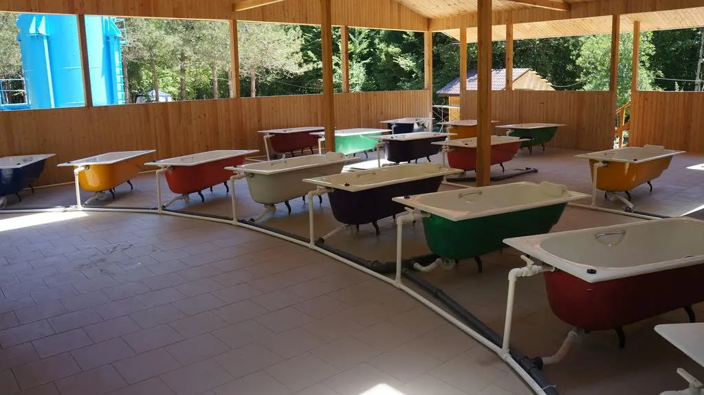 Геленджик: Ecological Village Zdorovie