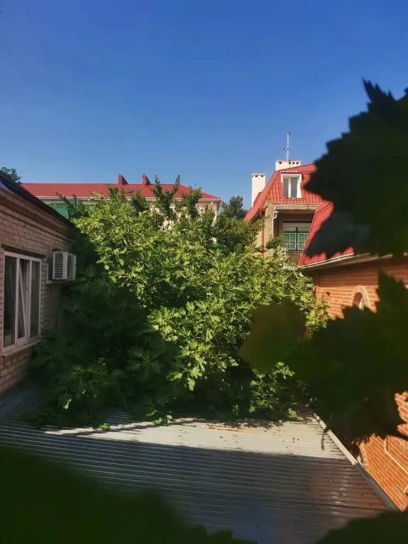 Геленджик: Елисеевский гостевой дом