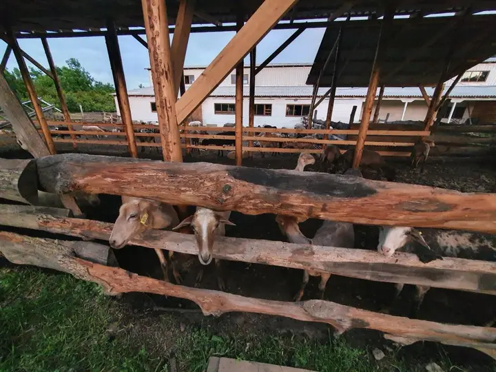 Краснодар: Glotok Vozduha Glamping