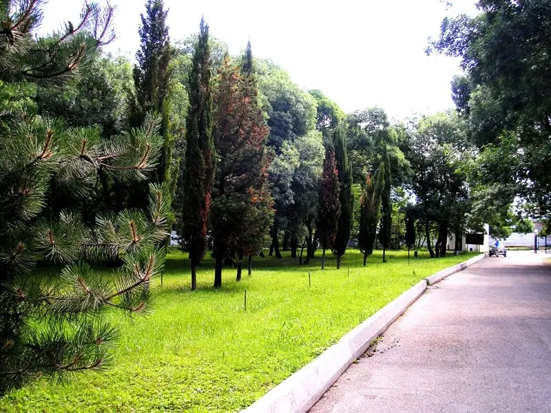Glorija(Gelendzhik) — фото 1