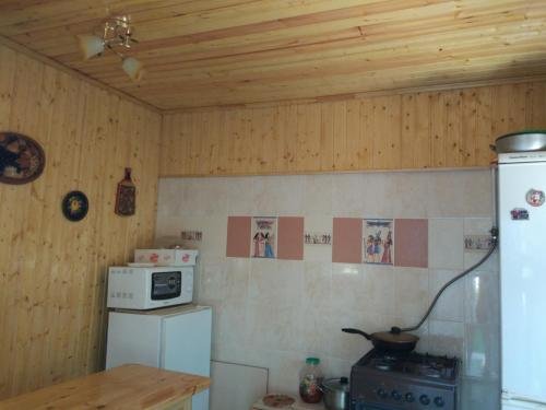 Веселовка: Solniechnyi Sviet Guest house