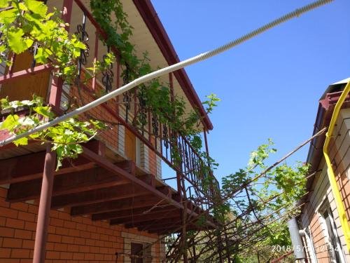 Веселовка: Solniechnyi Sviet Guest house