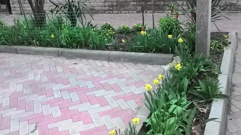 Gostevoy Dom Na Novorossiyskoy 140 — фото 1