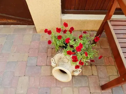 Кабардинка: Guest House Abrikos