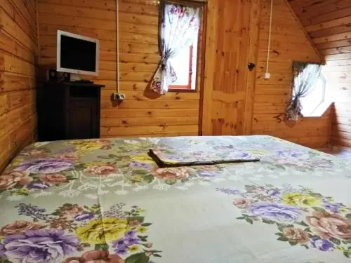 Геленджик: Guest House Camelia