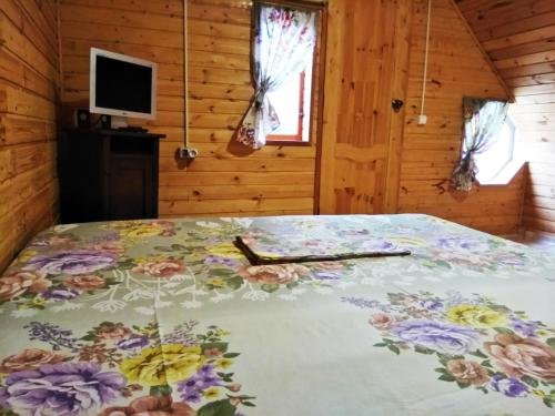 Геленджик: Guest House Camelia