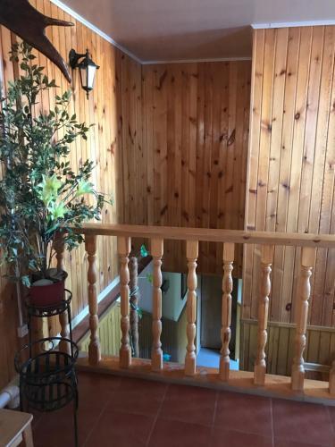 Анапа: Guest House Dve Zvezdy