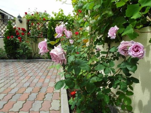 Кабардинка: Guest House Fenix
