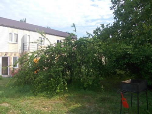 Архипо-Осиповка: Guest House Inzir