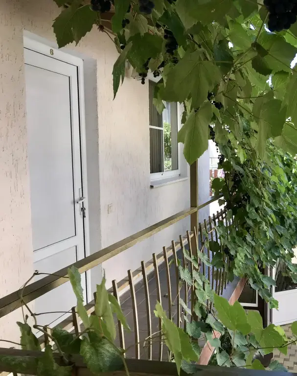 Геленджик: Guest House Na Chernigovskoy