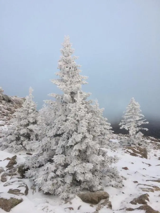 Зюраткуль: HomeSweetHomeZuratkul