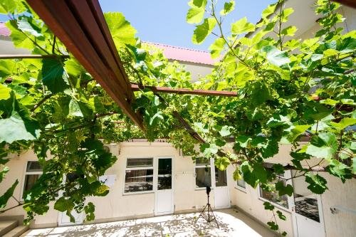 Геленджик: Guest house na tonkom mysu