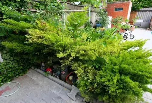 Анапа: Guest House na Trudyashikhsya 249