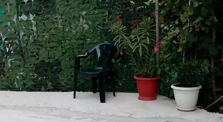 Геленджик: Guest house Okeanokigia