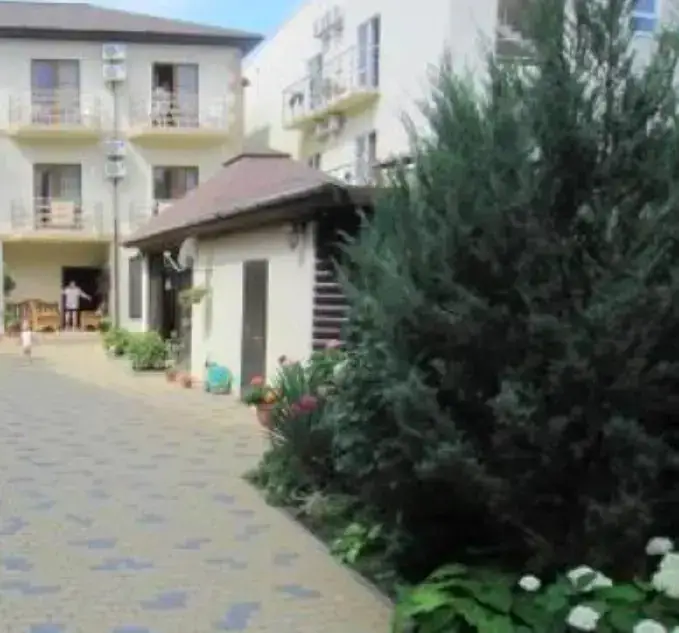 Геленджик: Guest House Katerina