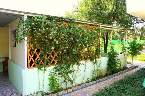 Витязево: Guest House Severnaya 49