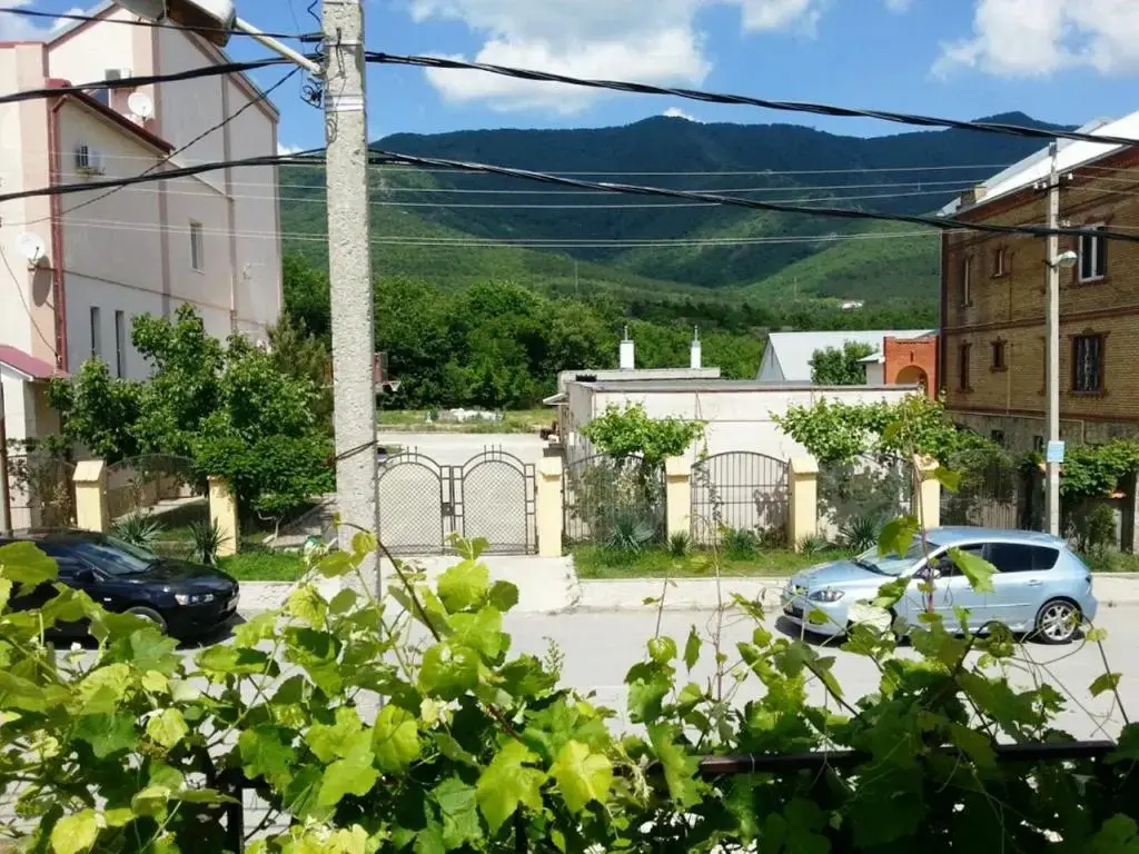 Геленджик: Guest house Shokolad