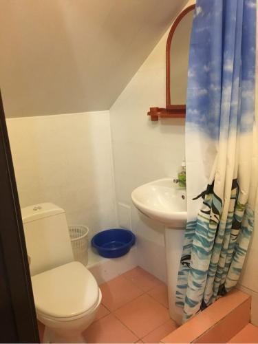 Анапа: Guest house Sviatich-2