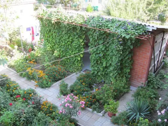 Геленджик: Guest House on Novorossiyskaya