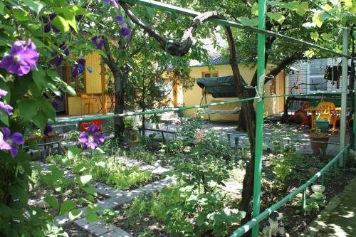 Кабардинка: Guesthouse U Liudmily