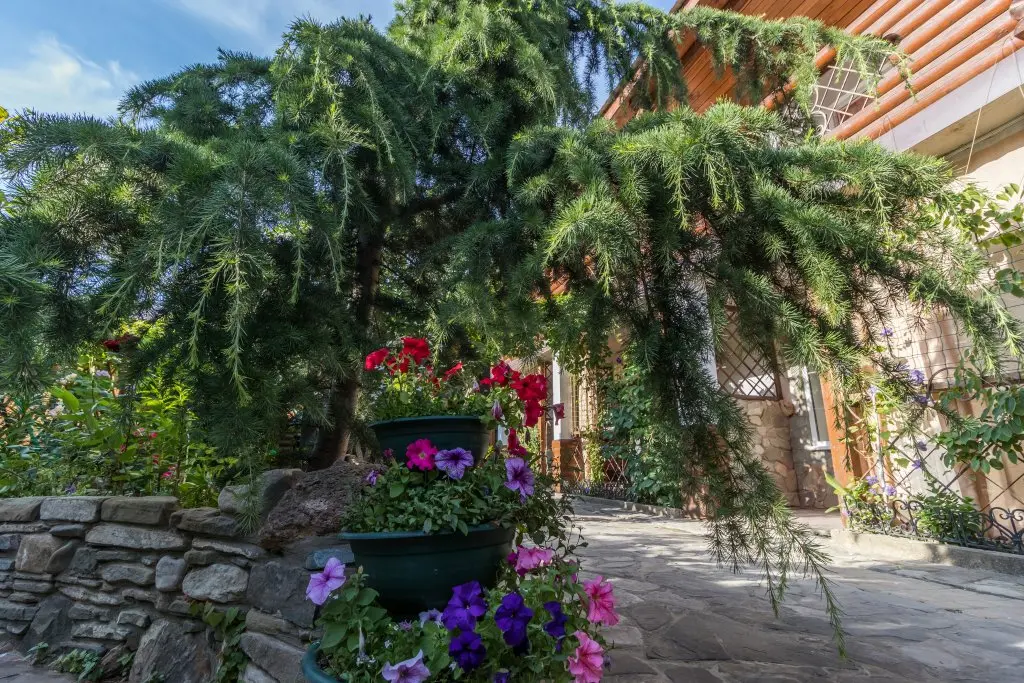 Архипо-Осиповка: Hotel Yugomore