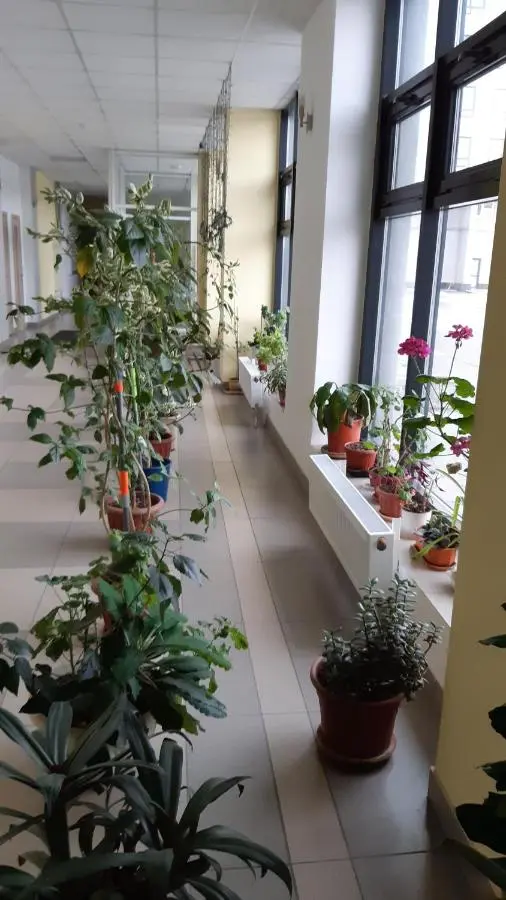 Челябинск: Apartment Your welcome