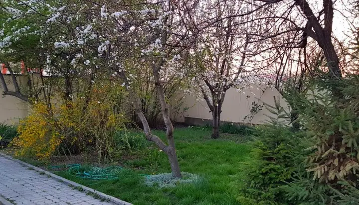 Анапа: Cottage on Anapskoye Shosse