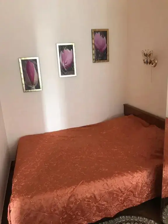 Анапа: Магнолия