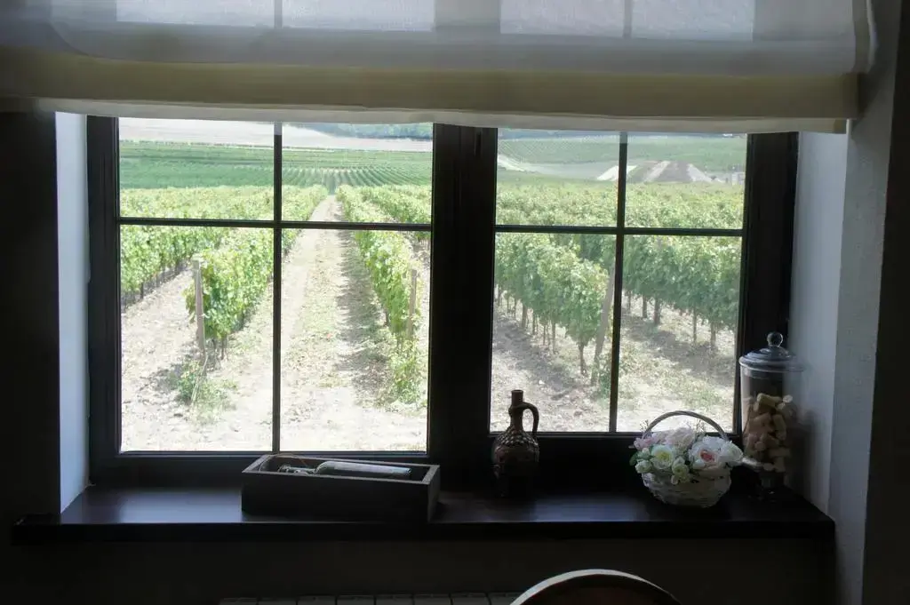 Новороссийск: Mini Hotel Vinoterriia