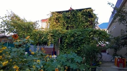 Витязево: Na Traktornoy 24