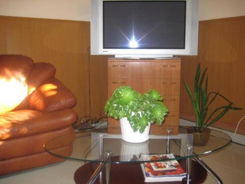 Анапа: Guest House Nash Dom