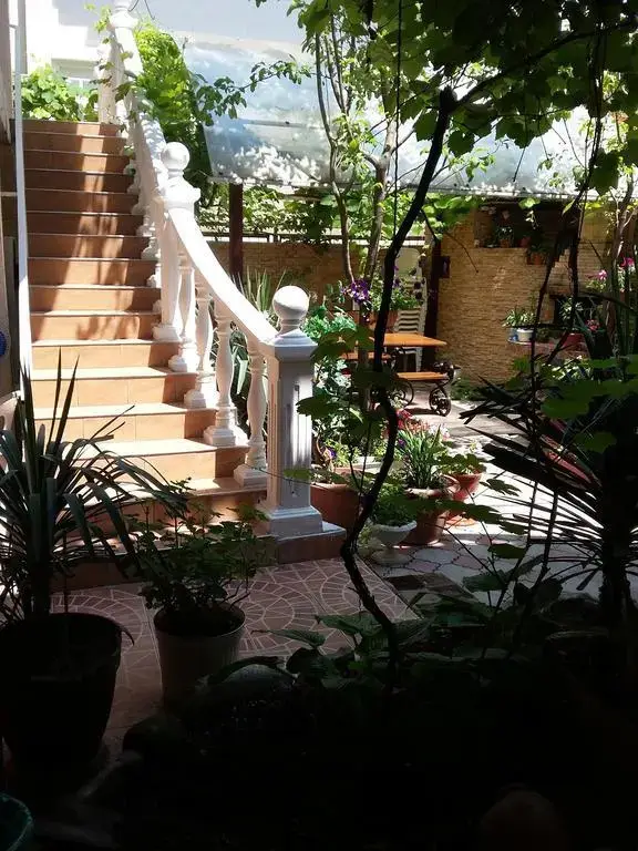 Геленджик: Olga Guest House