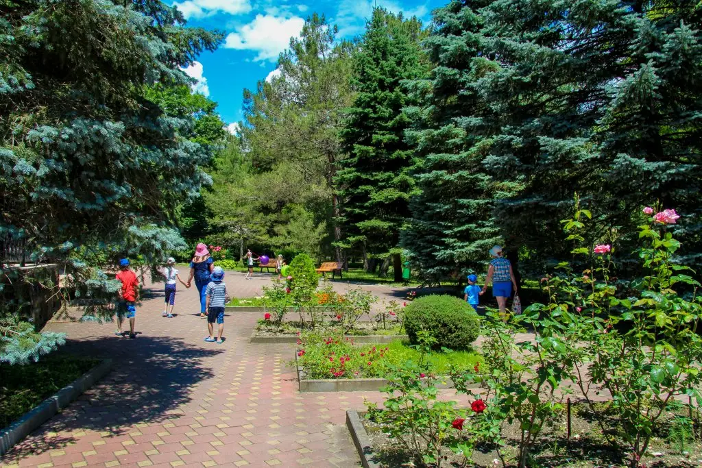Бетта: Отель Южный