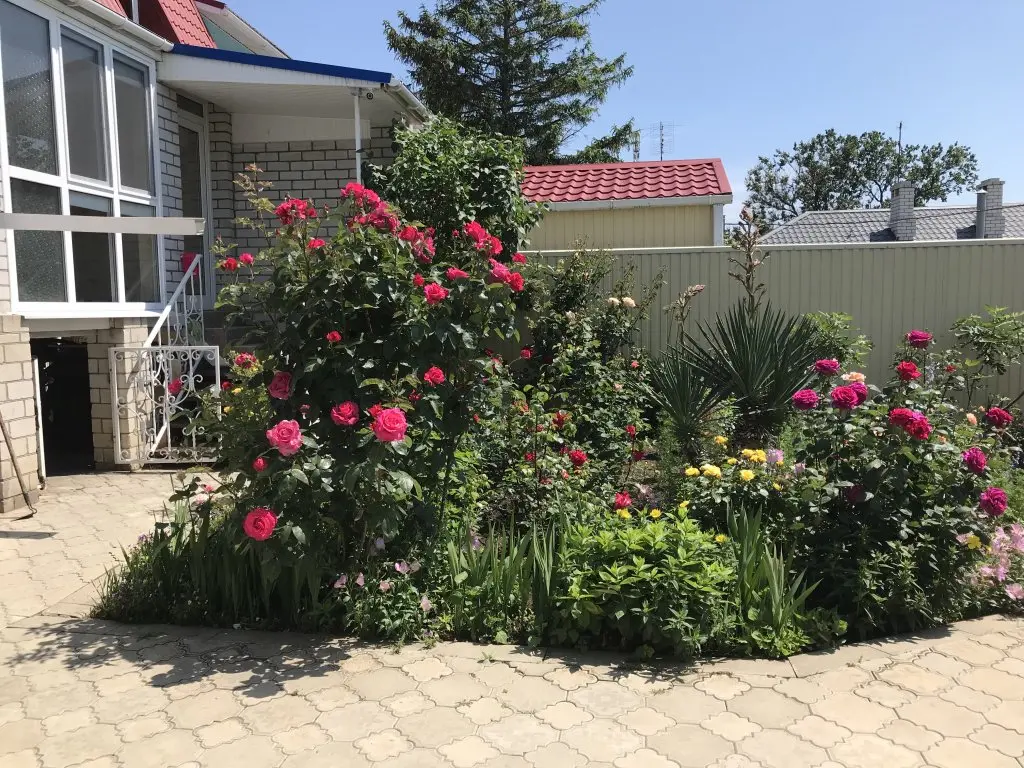 Витязево: Guest House Zdorovie