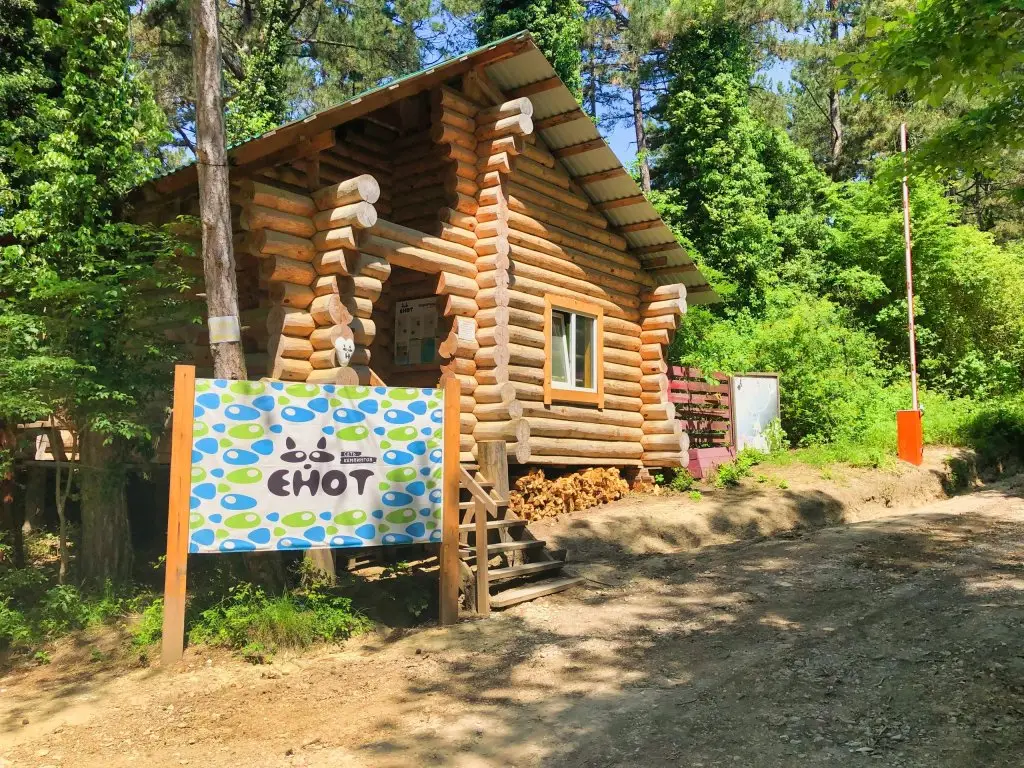 Кемпинг Енот-Архипо-Осиповка — фото 1