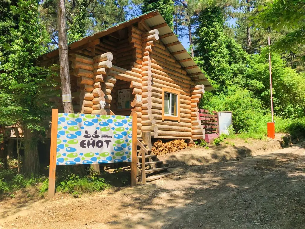 Архипо-Осиповка: Кемпинг Енот-Архипо-Осиповка