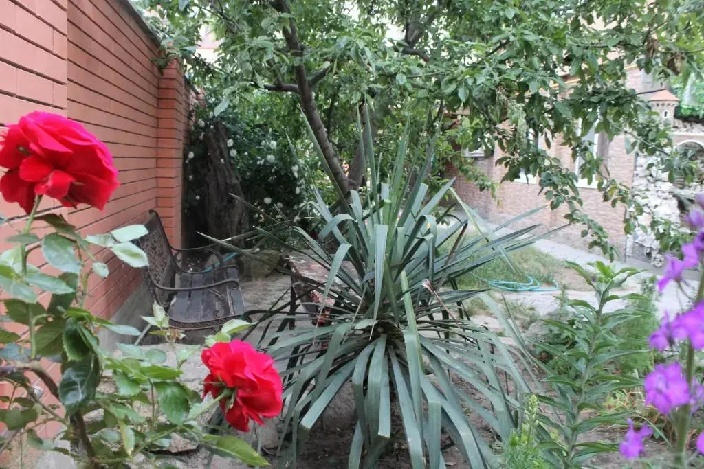Анапа: Tikhaya Gavan Mini Hotel