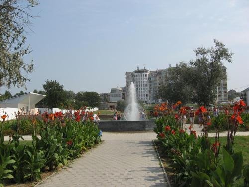 Анапа: Юкка