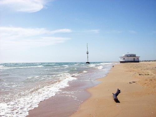 Анапа: Юкка
