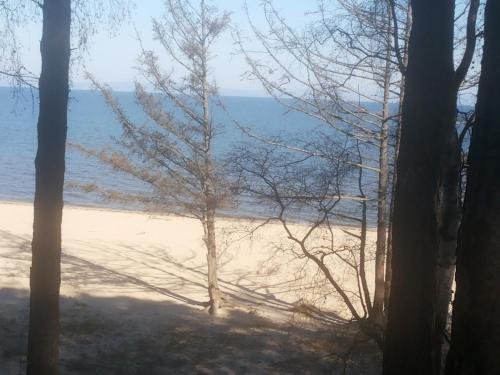 Новый Энхалук: Guesthouse Maria