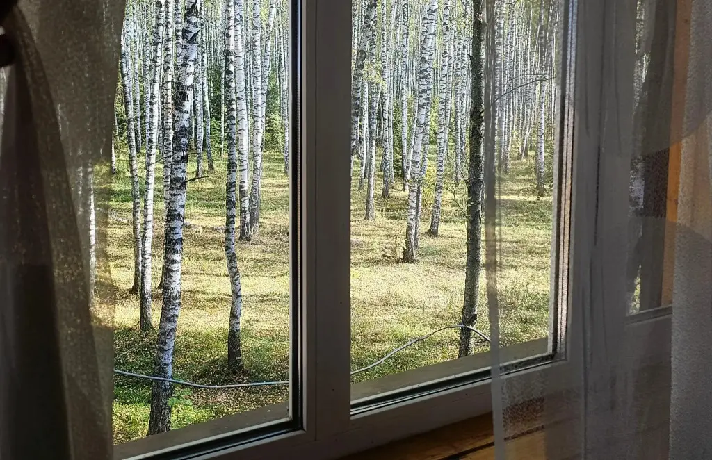 Зельево: Хаски Хаус