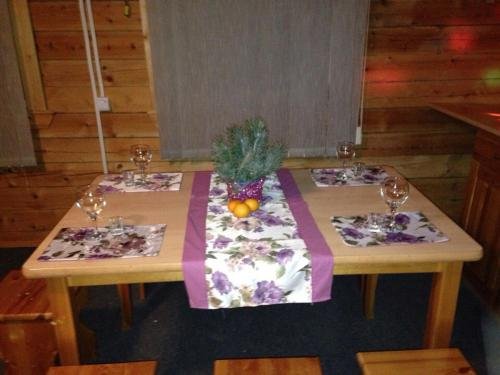 Шенкурск: Guest House Krasnaya Gorka
