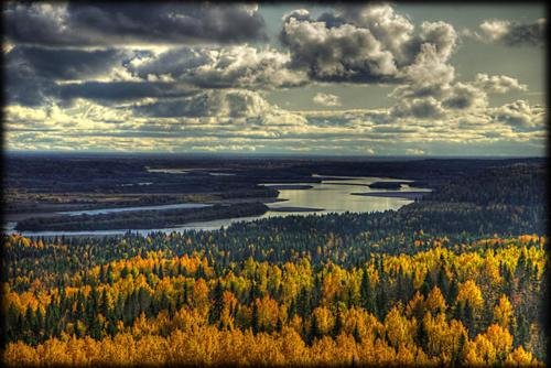Шенкурск: Guest House Krasnaya Gorka