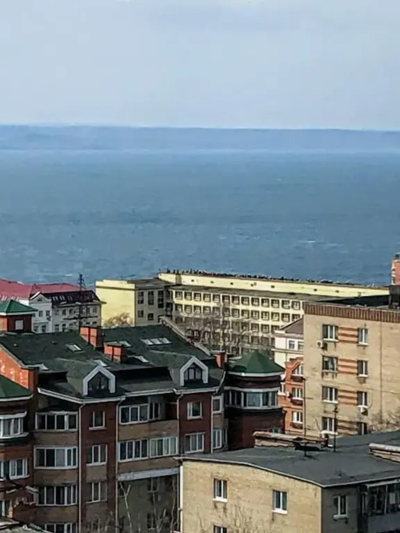 Владивосток: Уютные апартаменты в центре на Уборевича, 25А